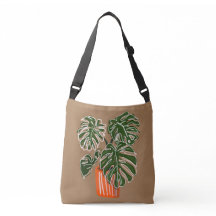 Planta De Cruzamento De Monstera Potted
