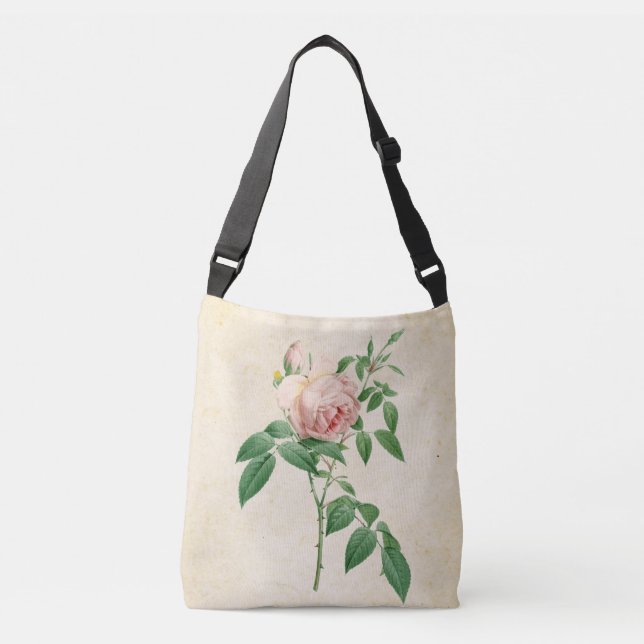Bolsa Ajustável Rosa indica fragrans - ilustração botânica (Frente)