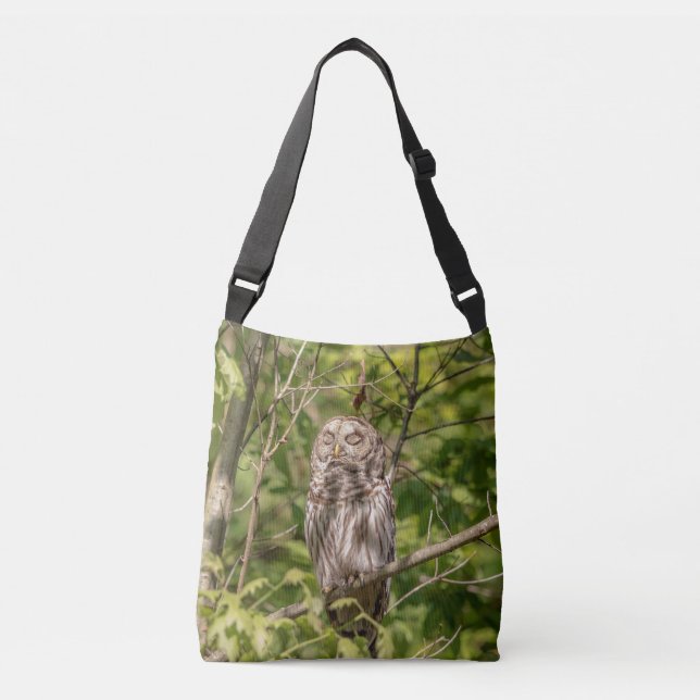 Bolsa Ajustável Sleepy Barred Owl (Frente)