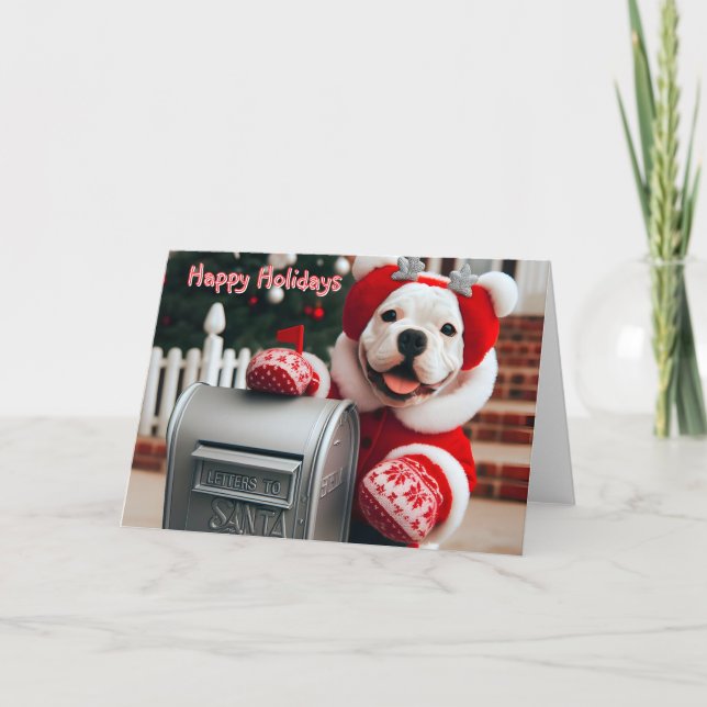 Bolsa Americana no Cartão de Caixa de Correio dos  (Frente)