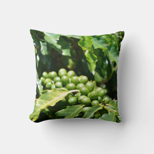 Bolsa de Café Verde Almofada (Frente)