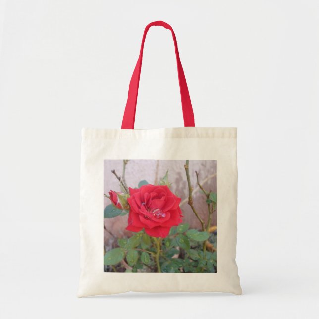 bolsa econômica  (Frente)