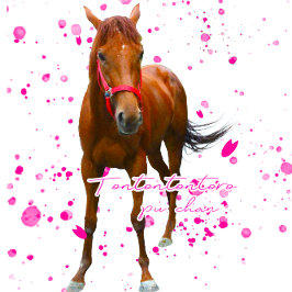 BOLSA TOTE ケイメイ牧場 トントントントロちゃん 立ち姿&総柄