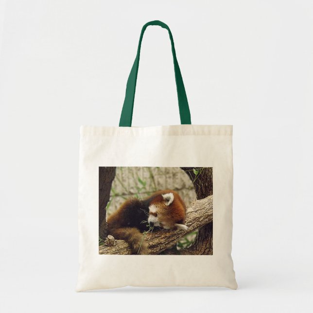 Bolsa Tote A panda vermelha do sono bonito com comida nela é (Frente)