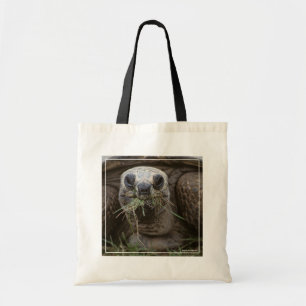 Bolsa Tote Aldabra Tortoise Grazing