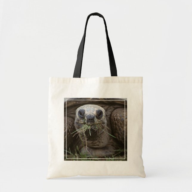 Bolsa Tote Aldabra Tortoise Grazing (Frente)