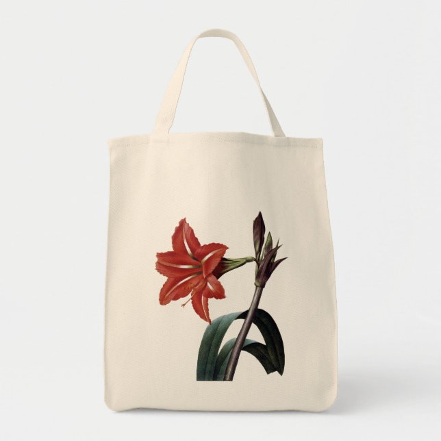 Bolsa Tote Amaryllis listrado (Frente)