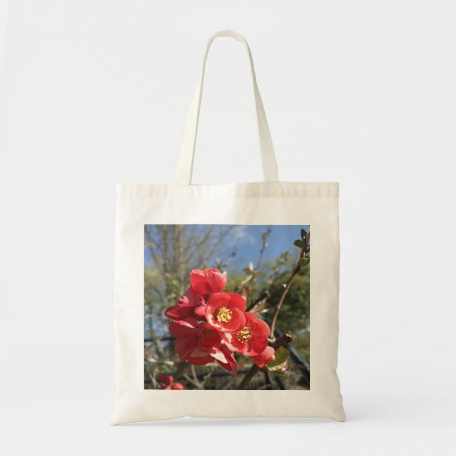Bolsa Tote Amdôea no Parque (Frente)