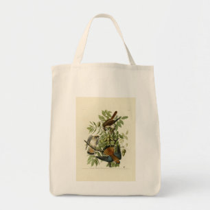 Bolsa Tote American Sparrow Hawk - As Aves da América de Audu