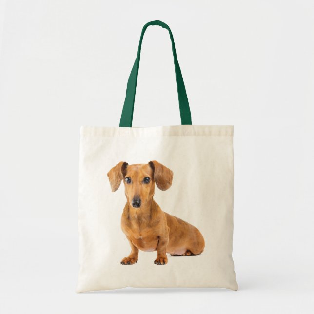 Bolsa Tote Amor Dachshund Puppy Dog Canvas Saco (Frente)