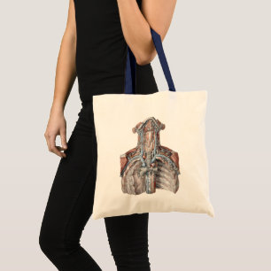 Bolsa Tote Anatomia Humana Vintage - Garganta, Pescoço, Tórax