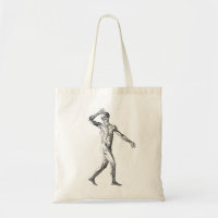 Anatomia Humana Vintage, Músculos do Corpo Masculi