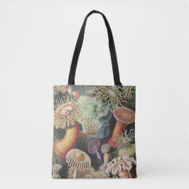 Bolsa Tote Anêmonas-do-Mar, Actiniae Seeanemonen Ernst Haecke