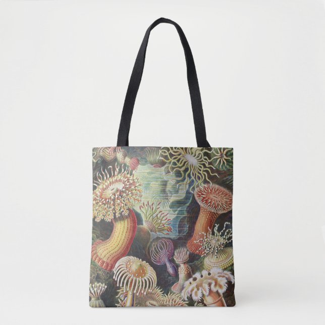 Bolsa Tote Anêmonas-do-Mar, Actiniae Seeanemonen Ernst Haecke (Frente)