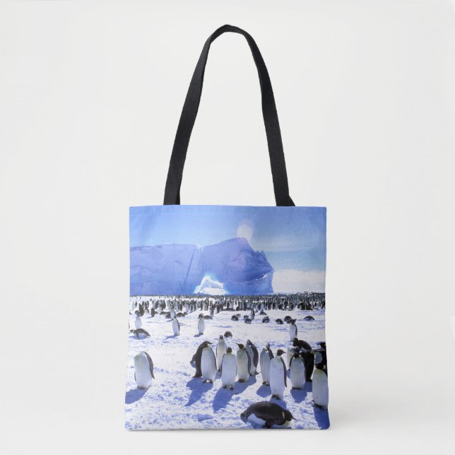 Bolsa Tote Antártica, Península Antártica, Mar Weddell 5 (Frente)