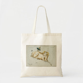Bolsa Tote Aries tote bag