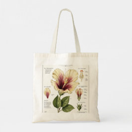 Bolsa Tote Arte de Anatomia Floral Hibisco Vintage