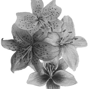 Bolsa Tote arte floral negra e branca