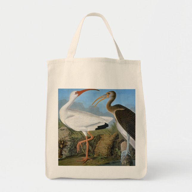 Bolsa Tote Áudio: Ibis Branco (Frente)
