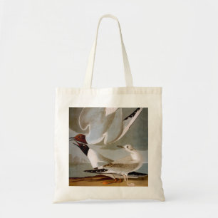 Bolsa Tote Audubon: A gaivota de Bonaparte