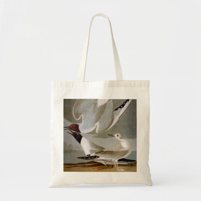 Bolsa Tote Audubon: A gaivota de Bonaparte (Frente)
