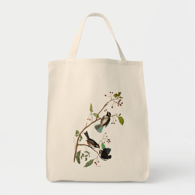 Bolsa Tote Audubon: Chickadee (Frente)