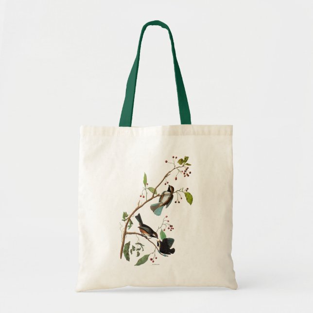 Bolsa Tote Audubon: Chickadee (Frente)