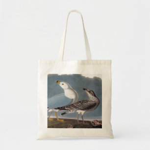 Bolsa Tote Audubon: Gaivota Anel-Faturada