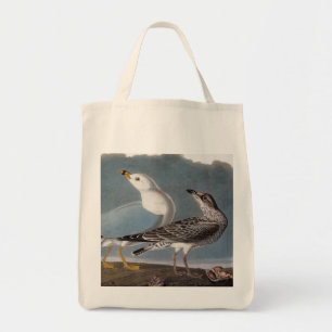Bolsa Tote Audubon: Gaivota Anel-Faturada