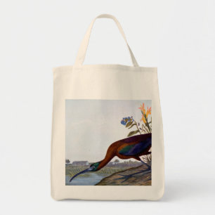 Bolsa Tote Audubon: Íbis lustrosos