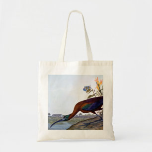 Bolsa Tote Audubon: Íbis lustrosos