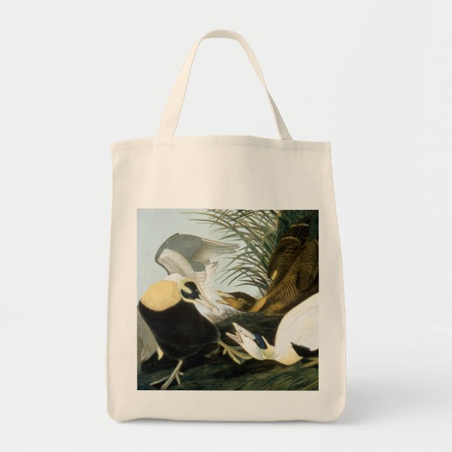 Bolsa Tote Audubon: Pato de êider (Frente)