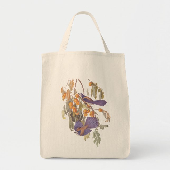 Bolsa Tote Ave Scrub Jay da Flórida Audubon na árvore laranja (Frente)