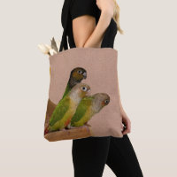 Baby Conure Parrots Bird