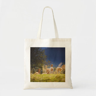 Bolsa Tote Bebê Lhamas num Campo