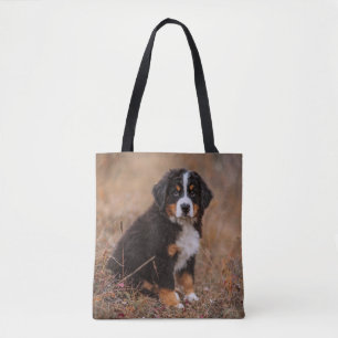 Bolsa Tote Bebês Mais Pobres Cachorro de Montanha Bernese