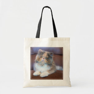 Bolsa Tote Bebês Mais Pobres   Calico Pérsico Kitten