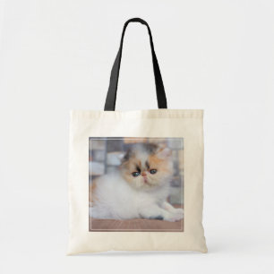 Bolsa Tote Bebês Mais Pobres   Calico Pérsico Kitten