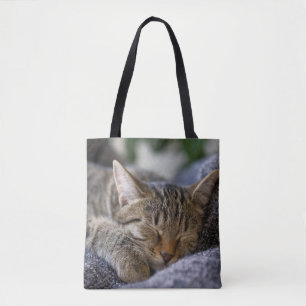 Bolsa Tote Bebês Mais Pobres Dormir De Tabby Kitten