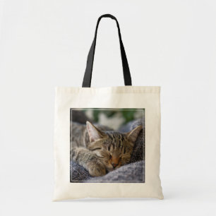Bolsa Tote Bebês Mais Pobres Dormir De Tabby Kitten