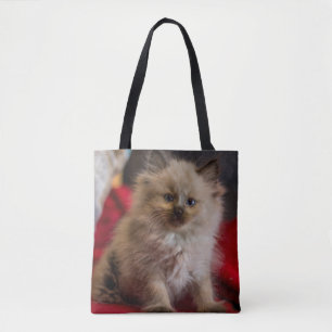 Bolsa Tote Bebês Mais Pobres   Siamese Kitten