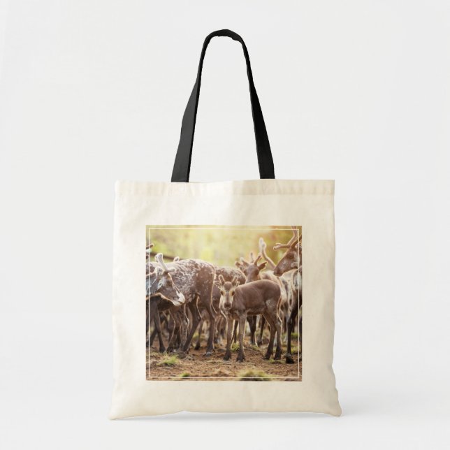 Bolsa Tote Bebês Mais Pobres | Svalbard Reindeer (Frente)
