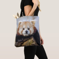 Bela Panda Vermelha Sente Tanta Falta De Você