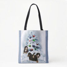 Bernese Mountain Dog Natal