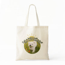 Bichon & Bola Dias de Dente-de-Leão