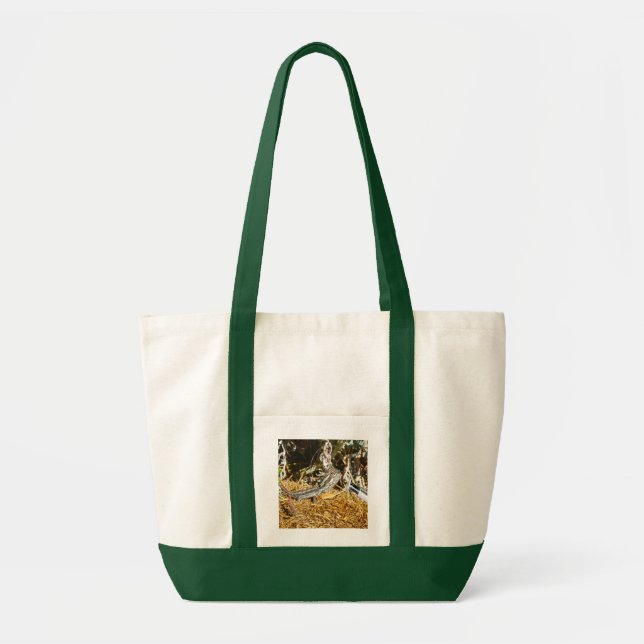 Bolsa Tote Biologia De Um Dragão Carborado, (Frente)
