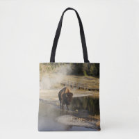Bison Yellowstone Nature | Fotografia de animais s