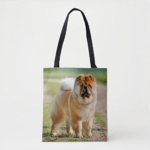 Bolsa Tote Boletim de Ombros do Mojo Chow