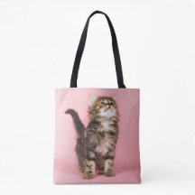 Bonito no gatinho cor-de-rosa