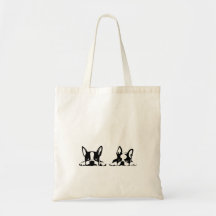 BOSTON TERRIER KOTARO & TEN TEN